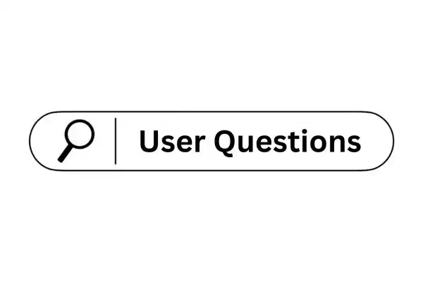 A search bar with a magnifying glass icon and the text "User Questions" typed inside, representing search queries.