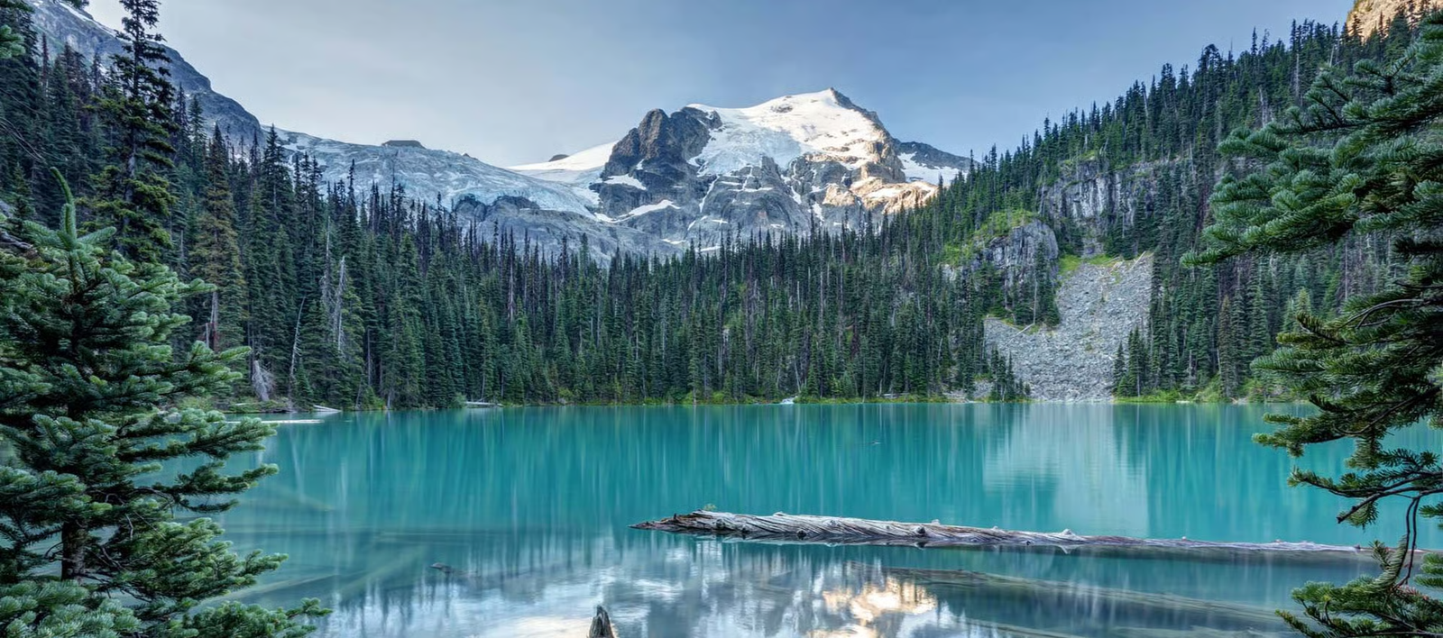 Digital marketing services